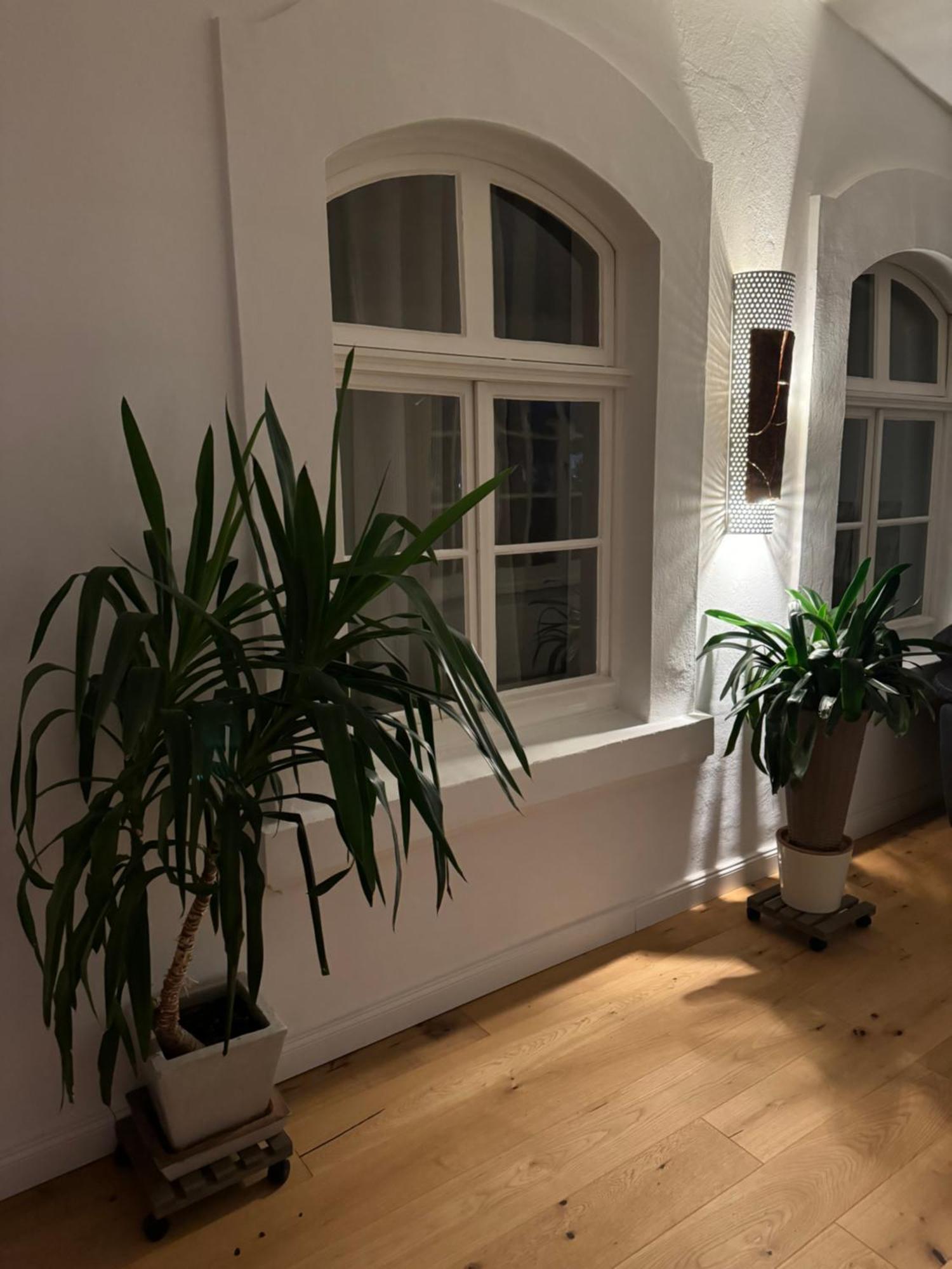 Boardinghouse Am Herforder Tor Fuer 8 Personen Auf 185 M2 Bad Salzuflen
